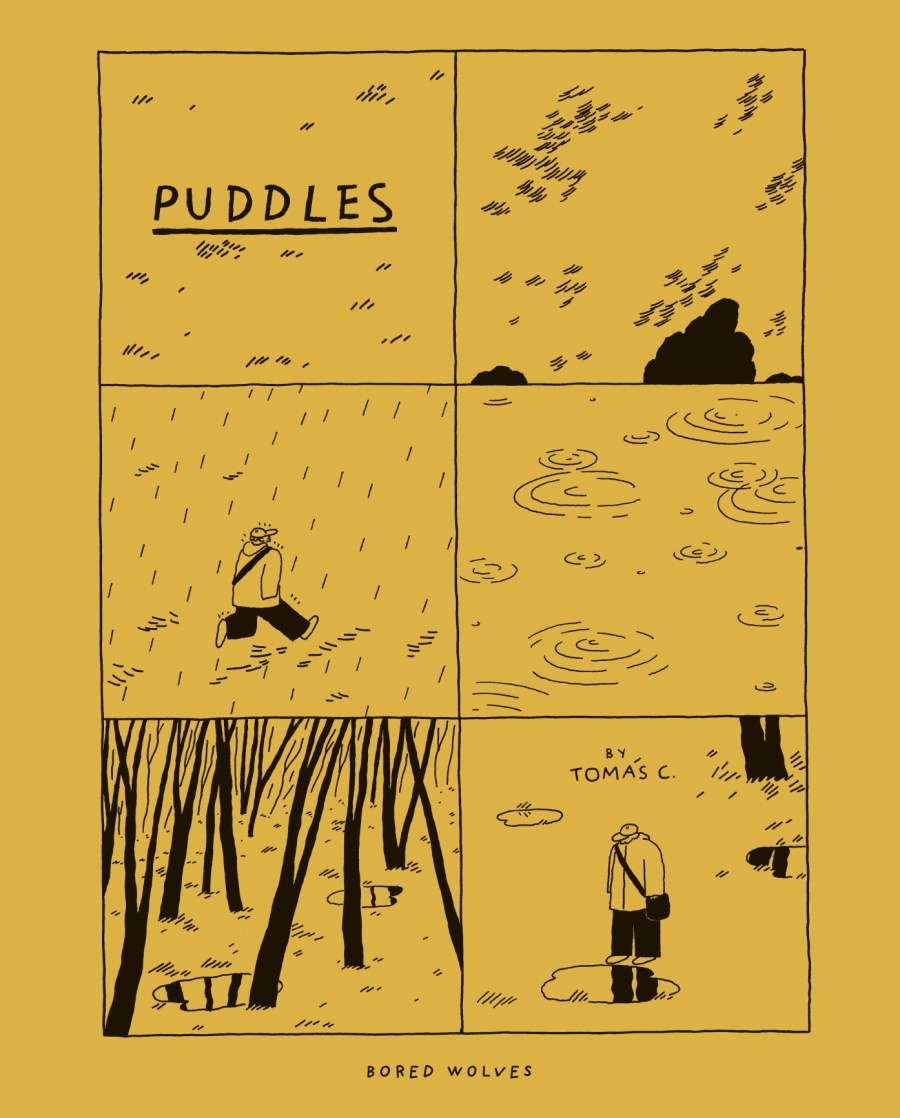 Puddles by Tomás Cisternas