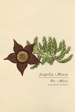 Stapelia Mixta by Dr. Mises