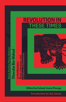 Revolution In These Times: Black Panther Party Veteran Dhoruba Bin Wahad on Antifascism, Black Liberation, and a Culture of Resistance