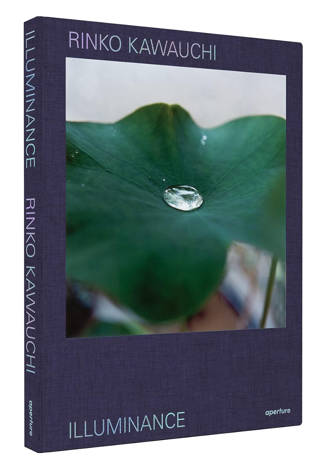 Rinko Kawauchi: Illuminance (The Tenth Anniversary Edition)