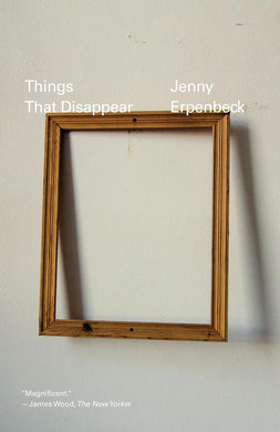 Things That Disappear by Jenny Erpenbeck