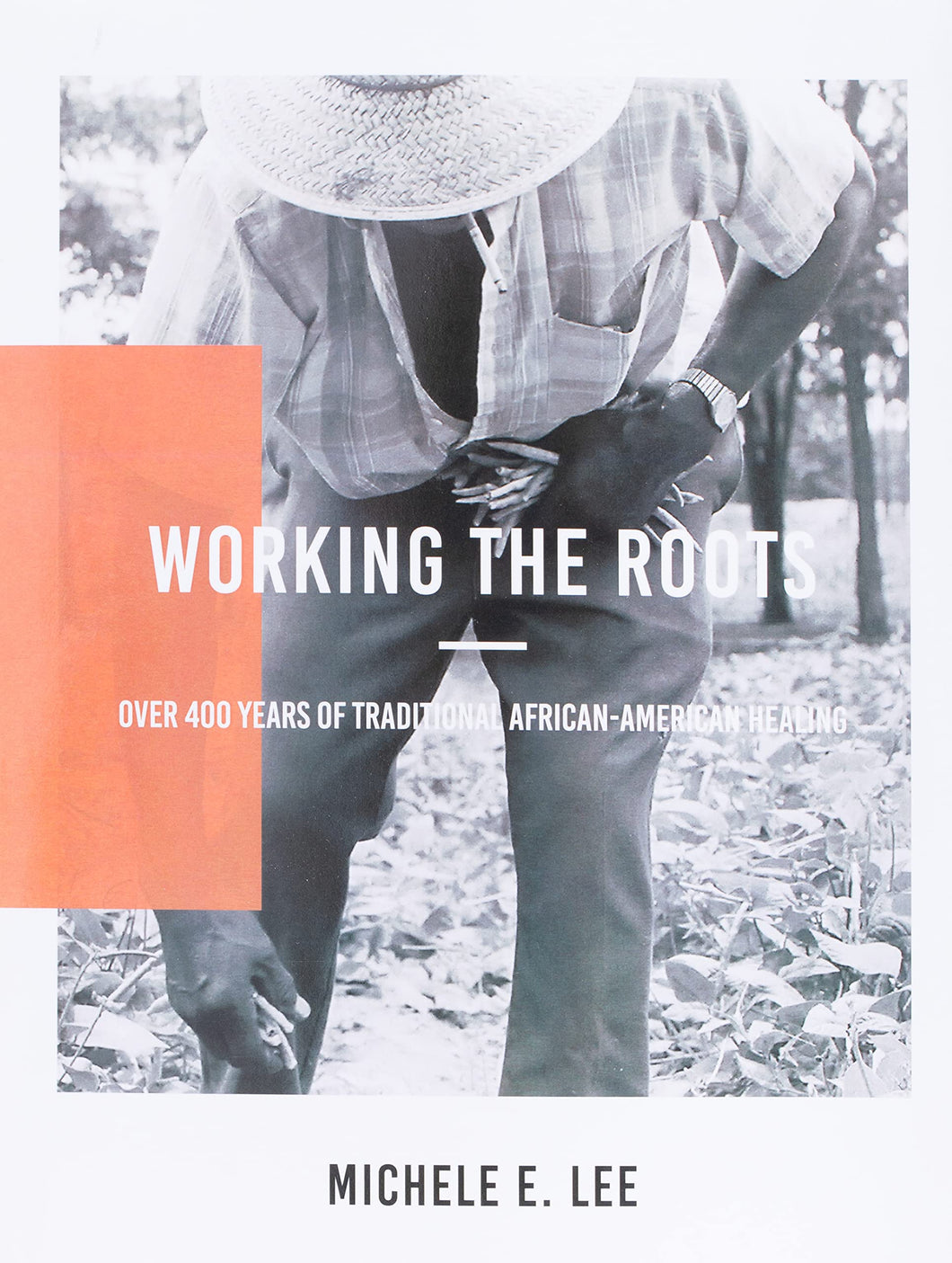 Working the Roots: Over 400 Years of Traditional African American Healing by Michelle E. Lee
