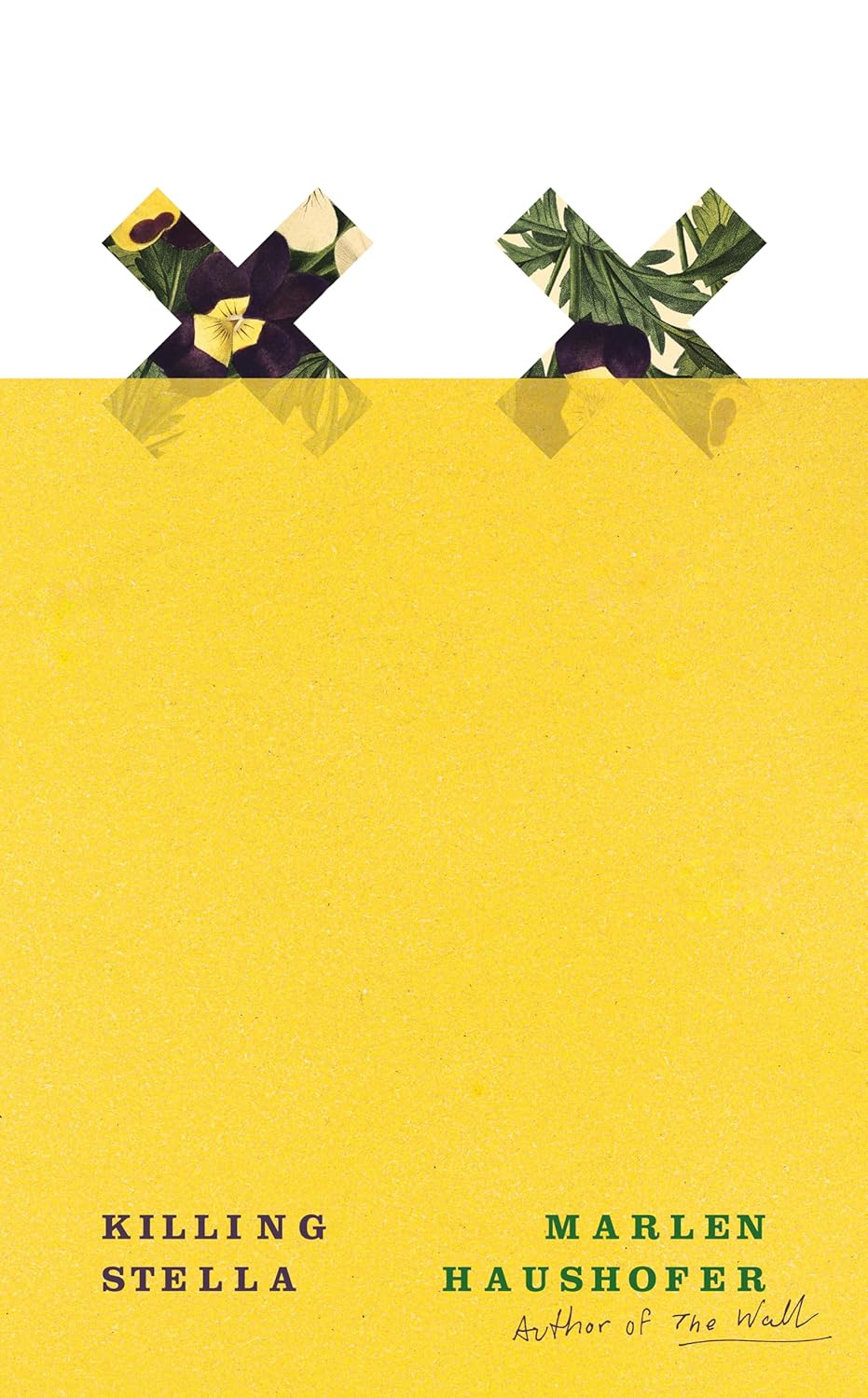 Killing Stella by Marlen Haushofer