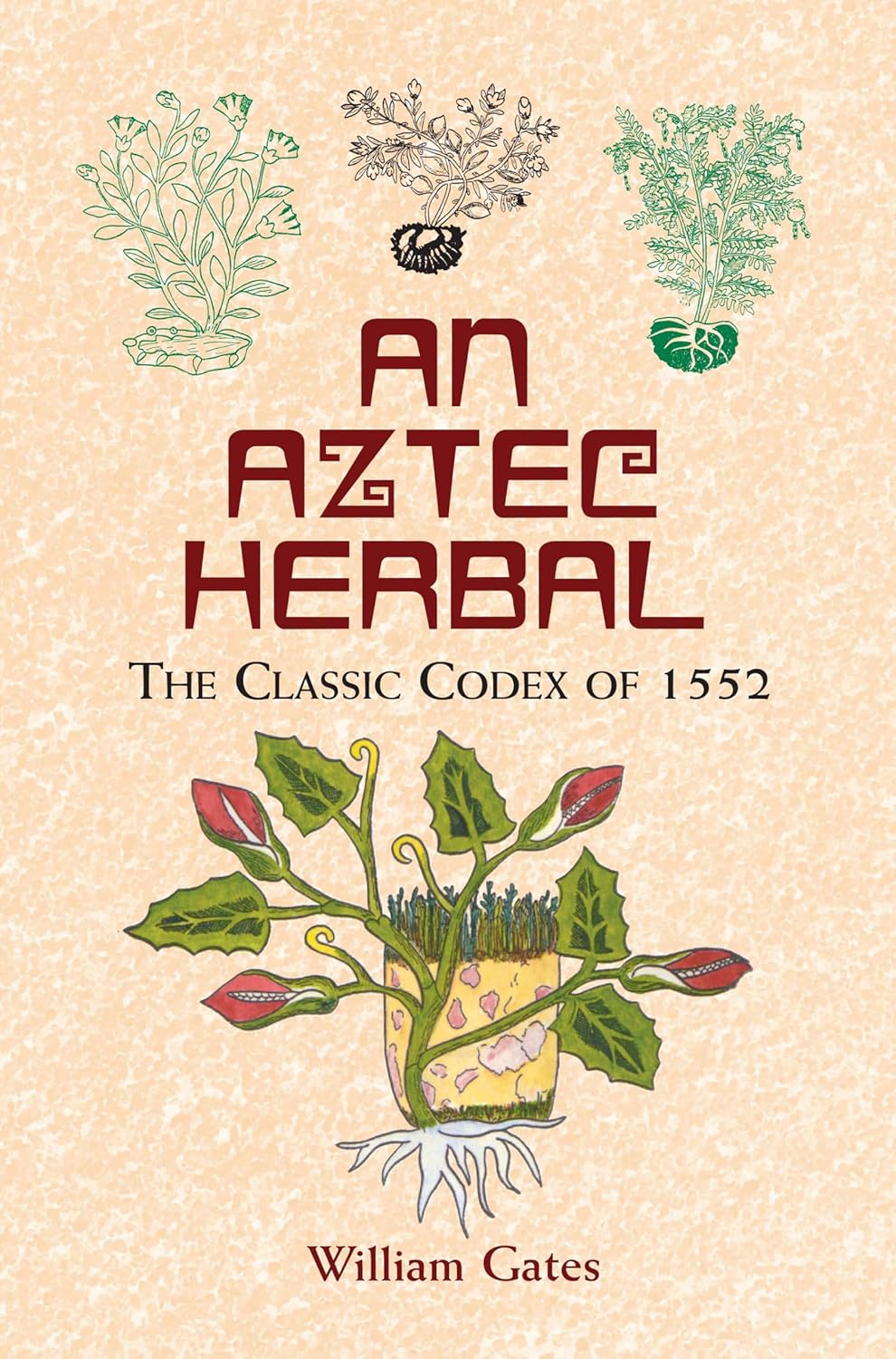 An Aztec Herbal: The Classic Codex of 1552 (Unabridged Edition) by William Gates