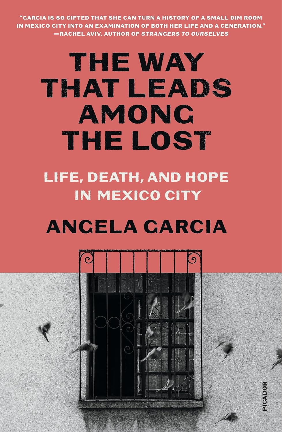 The Way That Leads Among the Lost by Angela Garcia