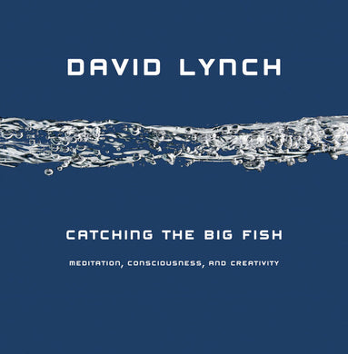 Catching the Big Fish: Meditation, Consciousness, and Creativity by David Lynch