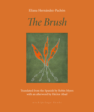 The Brush: Poems by Eliana Hernández-Pachón