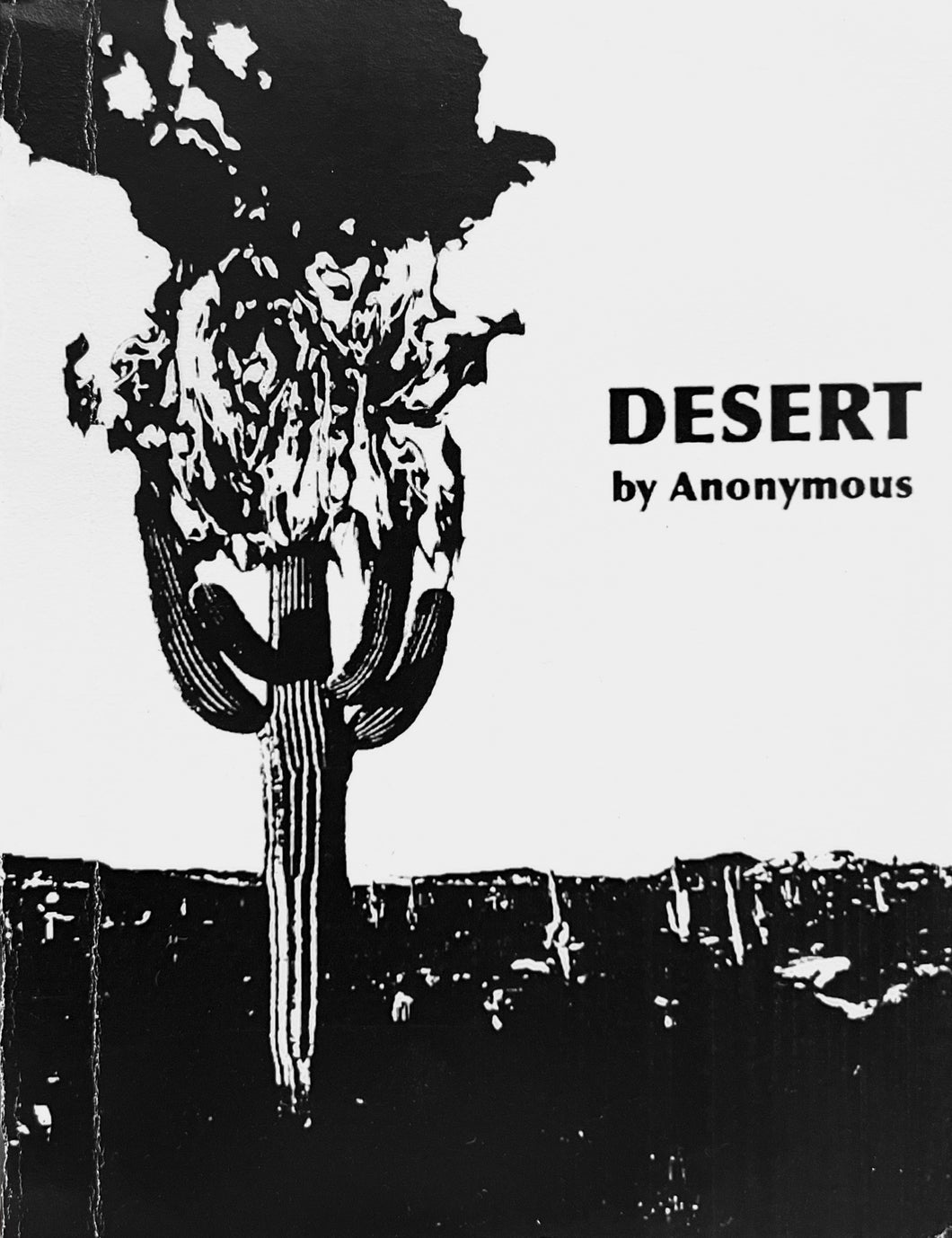 Desert by Anonymous