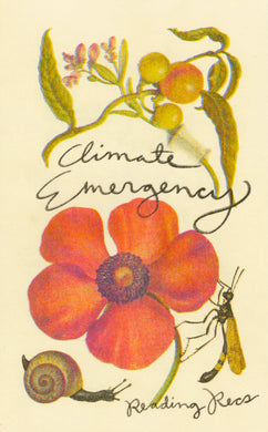 Climate Emergency Reading Recs
