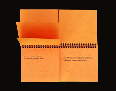 Dispersal of a Feeling: Bloodnotes on Choreography and Illness by Indira Allegra