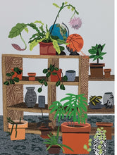 Plants and Animals by Jonas Wood