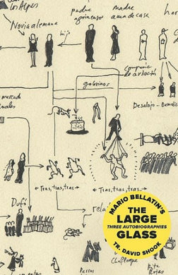 The Large Glass by Mario Bellatin