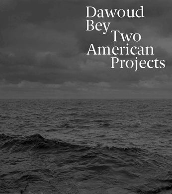 Dawoud Bey: Two American Projects