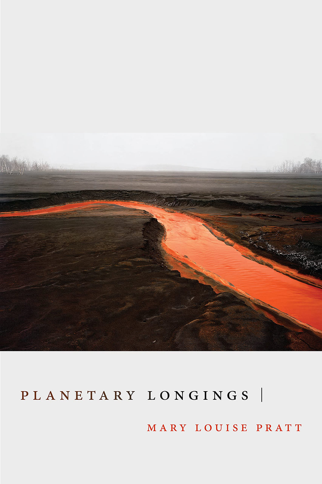 Planetary Longings by Mary Louise Pratt