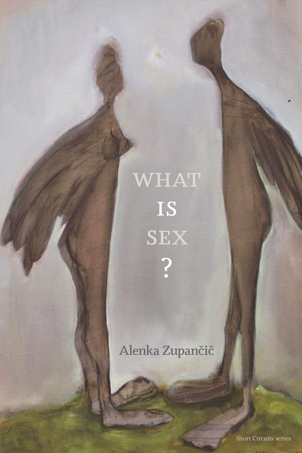 What IS Sex? (Short Circuits) by Alenka Zupancic
