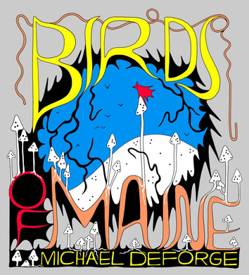 Birds of Maine by Michael DeForge