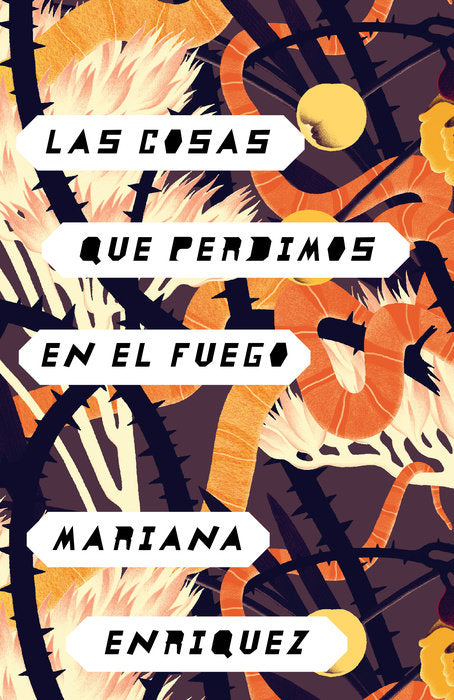 Las cosas que perdimos en el fuego by Mariana Enriquez