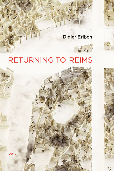 Returning to Reims by Didier Eribon