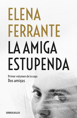 La amiga estupenda by Elena Ferrante