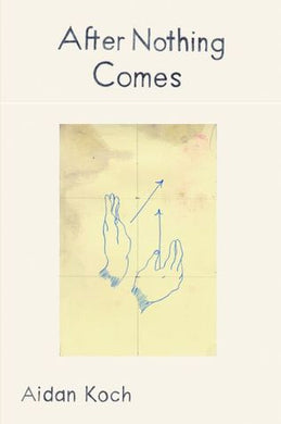 After Nothing Comes by Aidan Koch