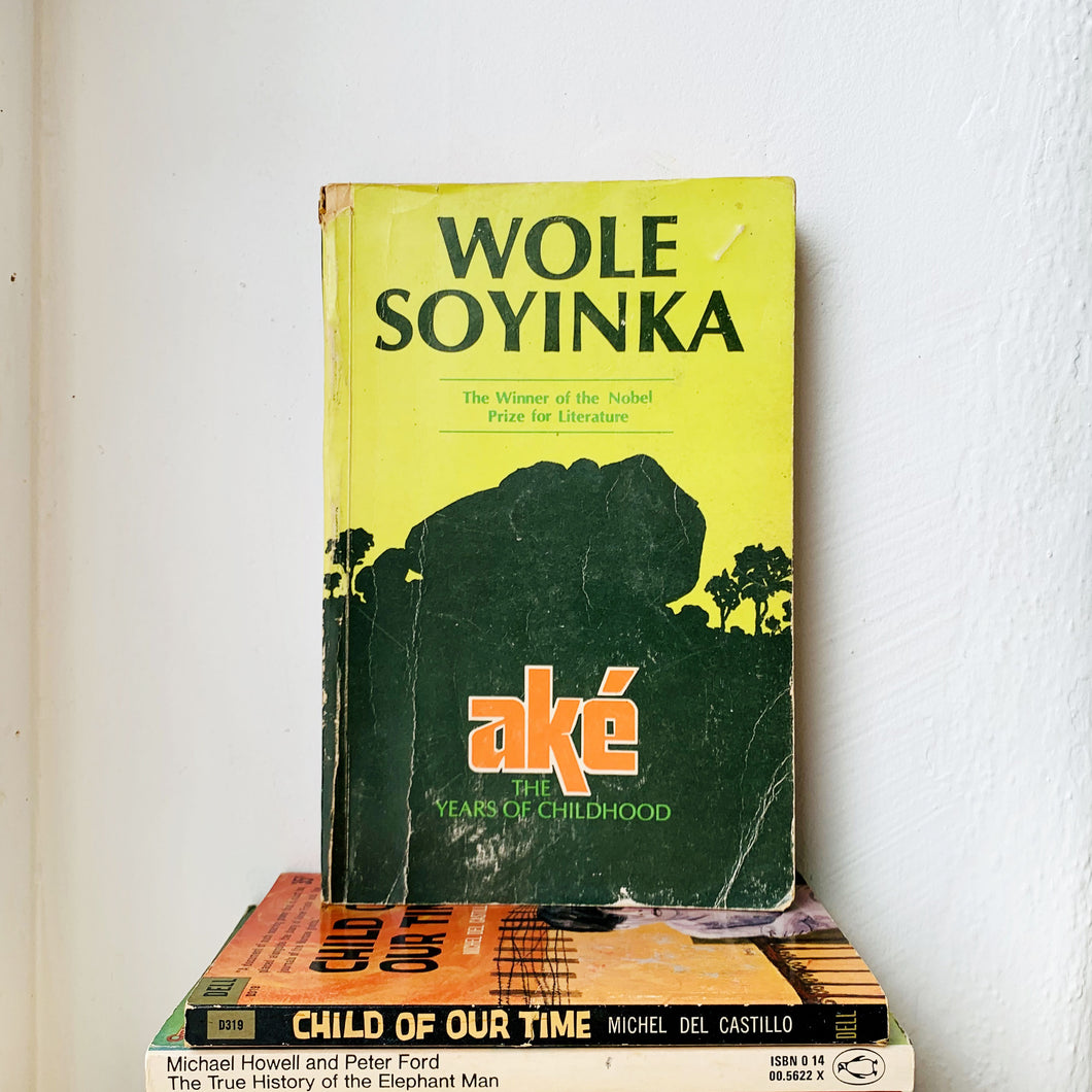 Aké: The Years of Childhood by Wole Soyinka