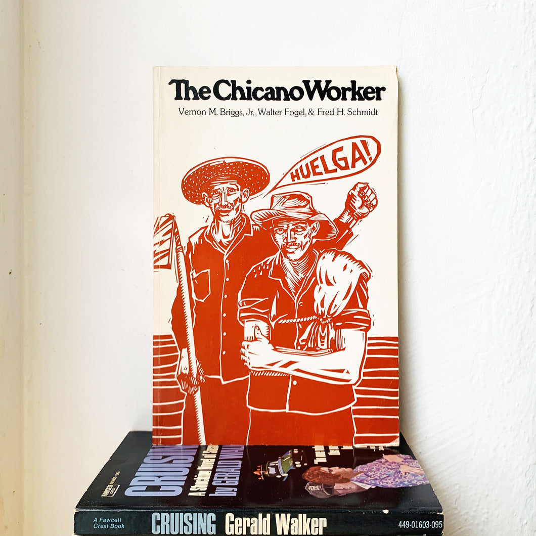 The Chicano Worker by  Vernon M. Jr. Briggs, Walter Fogel, Fred H. Schmidt