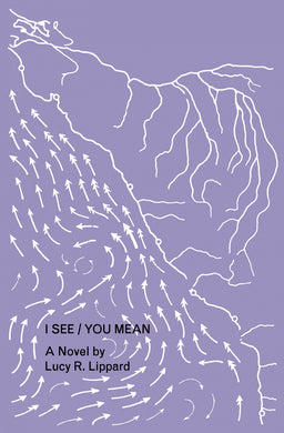 I See You / You Mean: A Novel by Lucy R. Lippard