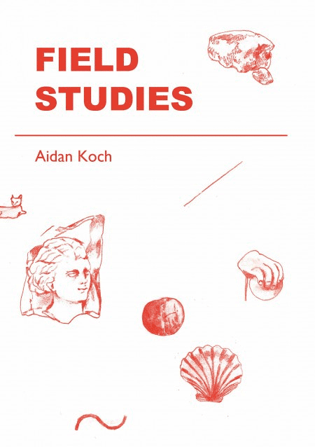 Field Studies by Aidan Koch