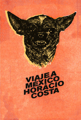 Viaje a México by Horacio Costa