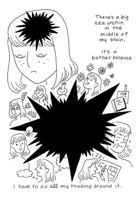 Sea Urchin by Laura Knetzger